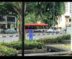 Balestier Point (D12), Shop House #594346981